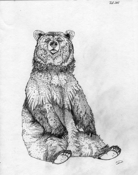 Email This BlogThis! Share to Twitter Share to Facebook Share to ... Sandra Dieckmann, Bear Spirit, Sitting Bear, Bear Sketch, Bear Tattoo Designs, Lazy Bear, Bear Sitting, Bear Tattoos, Bear Drawing