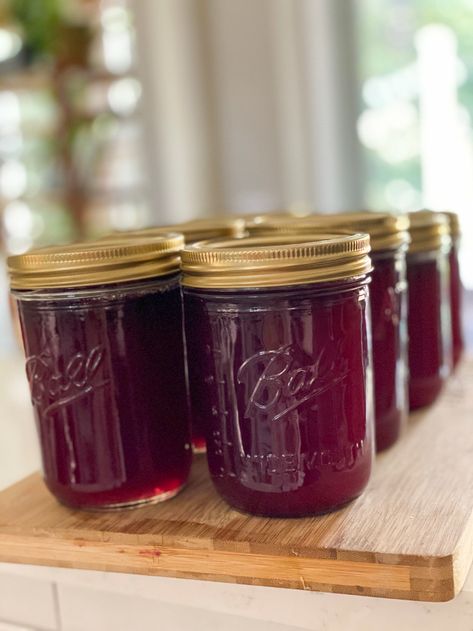 Muscadine Canning Recipes, Canning Muscadine Jelly, Muscadine Grape Jelly Recipe, Mustang Grape Jelly Recipe, Muscadine Grapes Recipes, Easy Muscadine Jelly Recipe, Muscadine Jelly Recipe, Muscadine Recipes, Muscadine Recipe