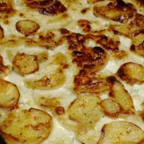 - Scalloped Potatoes with Gorgonzola Gorgonzola Potatoes, Scallop Potatoes, Cheese Scalloped Potatoes, Gorgonzola Recipes, Gorgonzola Cheese, White Cheese, Scalloped Potatoes, Gorgonzola, Christmas 2024