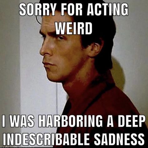 Patrick Bateman Meme, Patrick Bateman, I'm A Failure, This Is Your Life, Pinterest Memes, Warrior Quotes, Im Going Crazy, Silly Me, Lose My Mind