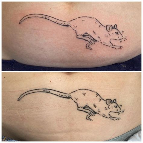 Becki Shu on Instagram: “🐀 Fresh vs. 1 month healed tummy tat for my fave @ratboyblue 💖 . . . . . . . . . . . #Handpoked #handpoke #handpokedtattoo…” Fresh Vs Healed Tattoo, Healed Tattoo, Hand Poked Tattoo, Hand Poke, 1 Month, Infinity Tattoo, Tatting, Tattoo Ideas, Healing