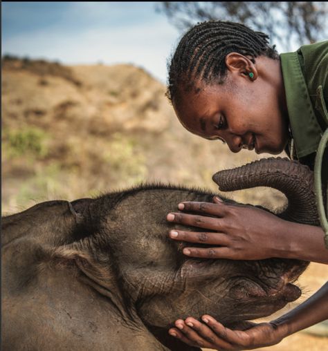 Women of Impact: Changing The World's Photojournalist Ami Vitale on Embracing Those Things that Scare You Ami Vitale Photography, Teaching Photography, Photojournalism Photography, Wild Elephant, Elephant Sanctuary, We Are All Connected, Changing The World, National Geographic Magazine, Badass Women