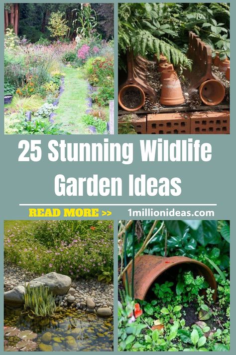 If you love seeing a natural-looking garden, or you’ve got a passion for wildlife and want to attract more to your garden,… Bird Sanctuary Ideas Backyards Gardens, Wildlife Garden Ideas, Wildlife Garden Design, Pollinator Garden Design, Habitat Garden, Medicinal Herbs Garden, Wildlife Garden, Meadow Garden, Vertical Garden Diy