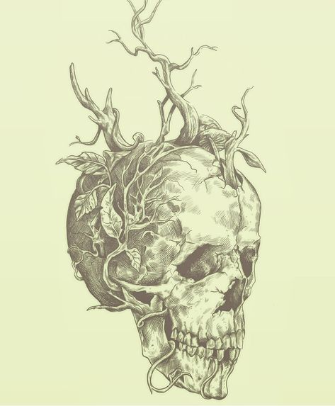 Green Skull Tattoo, Overgrown Skull Drawing, Decaying Skull Tattoo, Overgrown Skull Tattoo, Skull Nature Tattoo, Skull With Vines Tattoo, Graveyard Garden, Natural Forms Gcse, Skull Drawing Sketches