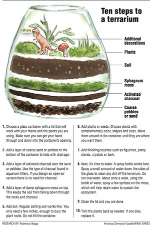 Contained delights: Create an indoor haven of green with easily constructed terrarium Terrarium Layers, Closed Terrarium Plants, Build A Terrarium, Diy Succulent Terrarium, Inside Garden, Beautiful Terrariums, Mini Terrarium, نباتات منزلية, Succulent Garden Diy