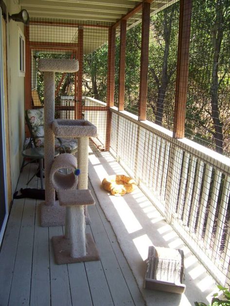 An enclosed deck just for the kitties Cat Enclosure Outdoor, Outdoor Cat Run, Outside Cat Enclosure, Katt Diy, Outdoor Enclosure, Kat Diy, Cat Area, Cat Enclosures, Large Cat Tree