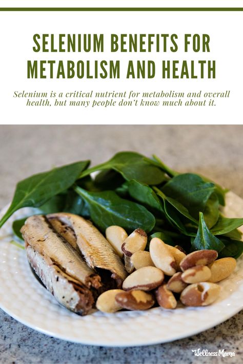 Selenium Benefits for Metabolism and Health (+ Food Sources) | Wellness Mama  Selenium is a critical nutrient for metabolism and overall health, but many people don’t know much about it (or why it’s so important). Selenium Benefits, Healthy Eating Quotes, Wellness Mama, Health Articles Wellness, Health And Wellness Quotes, Whole Food Diet, Diet Motivation, How To Eat Paleo, Food Source