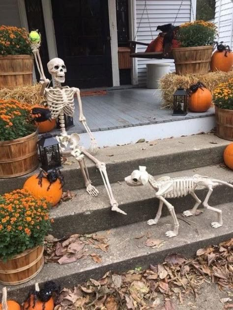 Skeleton Halloween Decorations Yards, Porch Skeleton, Posable Skeleton Ideas, Yard Skeletons, Front Porch Cozy, Skeleton Display, Skeleton Poses, Ideas For Front Yard, Skeleton Ideas