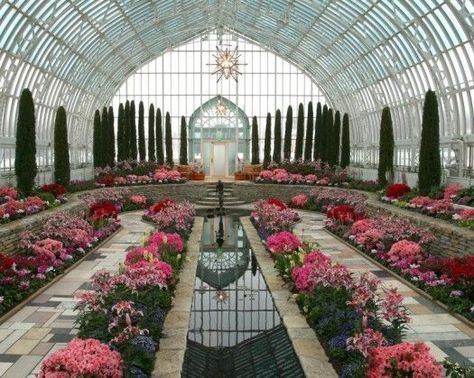 10 Things to do with kids in the Twin Cities بيوت ملكية, Katniss Everdeen, Plants And Flowers, Zaha Hadid, Winter Garden, Art Galleries, House Inspiration, Land Scape, White Roses