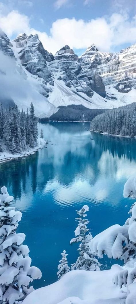 Moraine Lake, Banff National Park, Canada Banff National Park Canada, Ski Aesthetic, Night Sky Painting, Forest Adventure, Christmas Scenery, Moraine Lake, Landscape Photography Nature, Sky Painting, The Mountains Are Calling