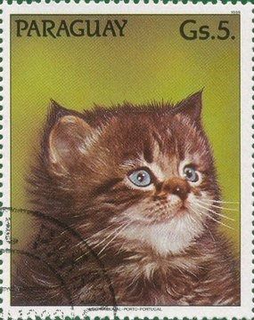 tay on X: "Cat stamps, 1989 https://t.co/3YvtuwJncw" / X Cat Stamp, Postage Stamp Art, Cat Post, Post Stamp, Postal Stamps, Vintage Stamps, Cute Cats And Dogs, Mail Art, Vintage Cat