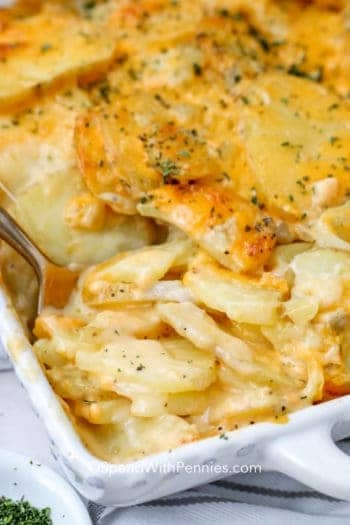 You searched for scalloped potatoes - Spend With Pennies Scalloped Potatoes With Bacon, Easy Cheesy Scalloped Potatoes, Oven Roasted Potatoes Easy, Homemade Scalloped Potatoes, Cheesy Scalloped Potatoes Recipe, Easy Scalloped Potatoes Recipe, Potato Side Dishes Easy, Potatoes With Bacon, Cheesy Scalloped Potatoes