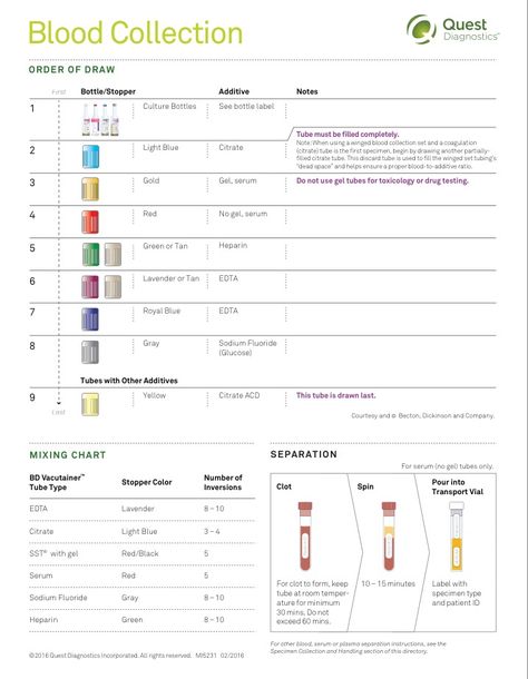 Order Of Draw Phlebotomy, Phlebotomy Study, Order Of Draw, Nursing Cheat Sheet, Nurse Report Sheet, Nursing Cheat, Medical Laboratory Science, Med Surg, Phlebotomy