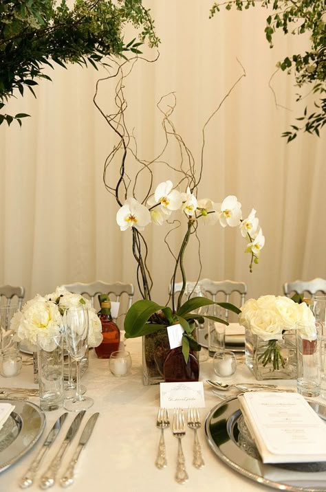 I like the look of the square containers with moss covering the mechanics of the flower pot. Potted Orchid Centerpiece, Orchid Centerpieces Wedding, Wedding Reception Planning, Orchid Centerpieces, Montreal Wedding, Orchid Wedding, Deco Floral, Floral Centerpieces, Types Of Flowers