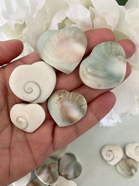 Mermaid Money, Shell Fossil, Psychic Ability, Crystals Store, Crystal Aesthetic, Fairy Aesthetic, Crystals For Sale, White Crystals, Stone Heart