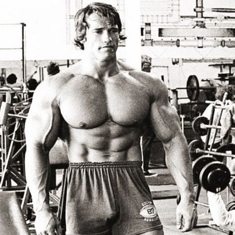 Arnold Schwarzenegger Workout, Arnold Schwarzenegger Gym, Old School Bodybuilding, Arnold Workout, Arnold Bodybuilding, Arnold Photos, Bodybuilding Logo, Arnold Schwarzenegger Bodybuilding, Best Bodybuilder