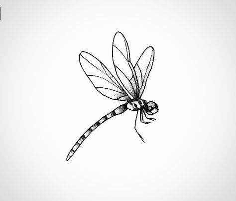 Japanese Dragonfly Tattoo, Damselfly Drawing, Dragonfly Tattoo Black, Dragon Fly Stencil, Dragonfly Wings Drawing, Dragonfly Tattoo Drawing, Eloise Tattoo, Dragon Fly Outline, Simple Dragonfly Drawing