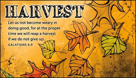 Free Harvest eCard - eMail Free Personalized Scripture Cards Online Forst Day Of Fall, Happy Fall Quotes, Thanksgiving Scripture, Fall Drawings, Harvest Blessings, Holiday Quotes, Jesus Is Coming, Scripture Cards, Autumn Quotes