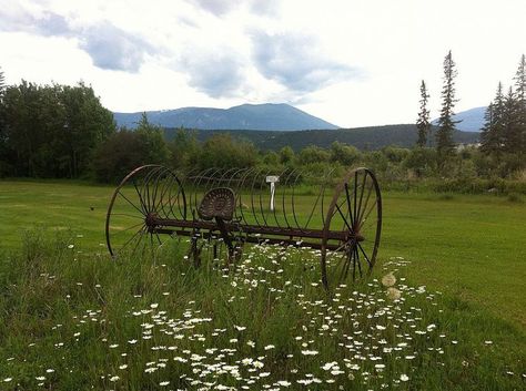 Gardening Lakeside Garden, Pure Country, Dream Country, Garden Diy Ideas, Idea Box, Black Thumb, Garden Junk, Old Farm Equipment, Garden Idea