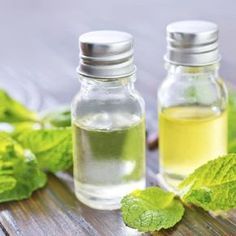 Homemade Essential Oils, Making Essential Oils, Mint Oil, Ginger Essential Oil, Diy Essentials, Vanilla Essential Oil, Peppermint Leaves, Infused Oils, Aromatic Herbs