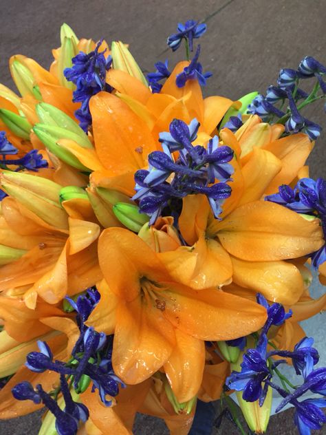 Orange Lilys and blue delphiniums make a great fall bouquet! Blue And Orange Bouquet, Blue Orange Flowers, Graduation Bouquet, Orange Bouquets, Fall Bouquet, Dark Blue Flowers, Blue Delphinium, Patterns Wallpaper, Wedding Fall