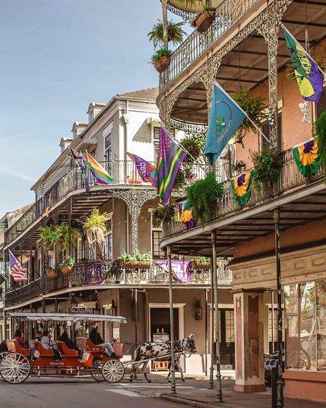 2,120 Likes, 60 Comments - Valerie Esparza | New Orleans (@nola_val) on Instagram: “Yesterday was the kind of day you just needed to be in the French Quarter, it was chilly but the…” Nola Bachelorette, Visit New Orleans, New Orleans French Quarter, New Orleans Mardi Gras, Bourbon Street, French Quarter, Travel Bucket, Travel Usa, Mardi Gras