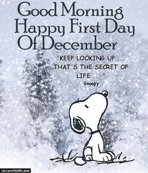 Good Morning Happy First Day Of December Pictures, Photos, and Images for Facebook, Tumblr, Pinterest, and Twitter Peanuts Cartoon Characters, First Day Of December, The Secret Of Life, Secret Of Life, December Quotes, Heather Stillufsen, Keep Looking Up, Happy December, Hello December