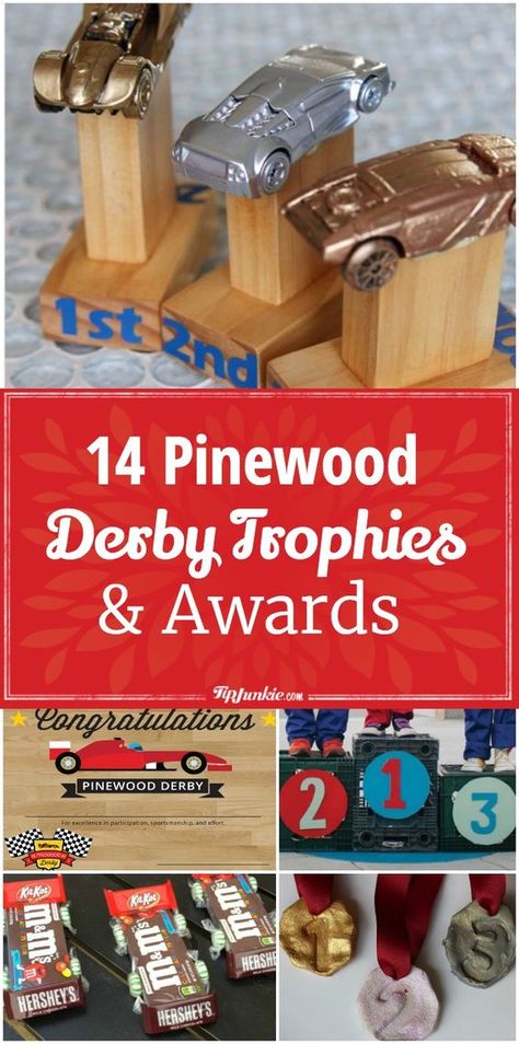 Pinewood Derby Ideas, Pinewood Derby Trophy Ideas, Pinewood Derby Activities, Pinewood Derby Decorations, Pinewood Derby Awards, Cub Scout Den Flags, Ward Activities, Camp Awards, Awana Ideas