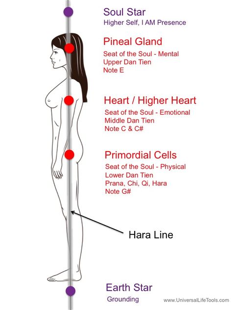 Primordial cells are a persons original 8 cells of life, the first 8 cells that are formed after fusion of the Egg & Sperm and subsequent cellular replication. These 8 original cells, that are positioned in-between your Base & Sacral Chakras, are maintained throughout your life-time via the holographic field of your Crystalline Matrix (auric field). Qui Gong, Polarity Therapy, Pranic Healing, Energy Healing Reiki, Life Tools, Spirit Science, Energy Medicine, Les Chakras, Chakra Meditation