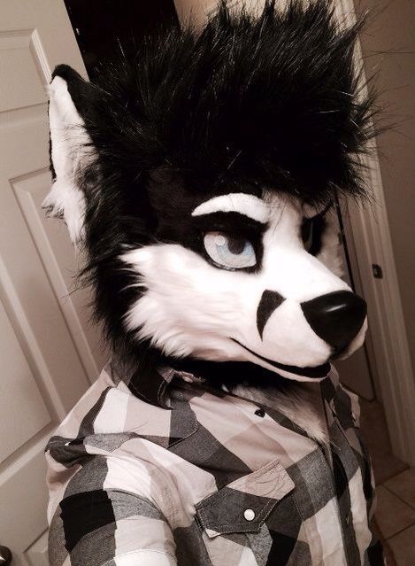 I've always liked fursuits like this ^^ Fursuit Ideas, Fursuit Tutorial, Fur Suit, Fur Suits, Wolf Husky, Fursuit Head, Dot Net, Animal Art, Husky