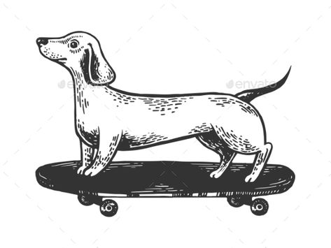 Dog on Skateboard Engraving Vector Illustration #Skateboard, #Dog, #Engraving, #Illustration Skate Tattoo, Skateboard Tattoo, Black Pen Drawing, Micron Pen Art, Skate Boy, Dog Walking Business, Dog Stock Photo, Old School Skateboards, Hand Drawing Reference