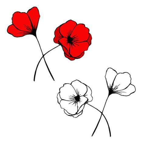 34 Poppy Appeal Illustrations & Clip Art - iStock Poppy Flower Drawing, New Tattoo Styles, Poppy Drawing, Doodle Vector, Plant Images, Hand Drawn Vector, Flower Doodles, Free Vector Graphics, Flower Illustration