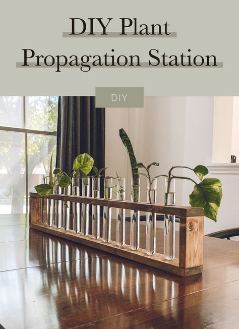 Propagation Tubes Diy, Wood Propagation Station, Propagating Station Diy, Plant Centerpieces Dining Room, Wooden Propagation Station, Woodworking Plant Stand, Propergation Station Diy, Diy Propagation Station Ideas, Succulent Propagation Station