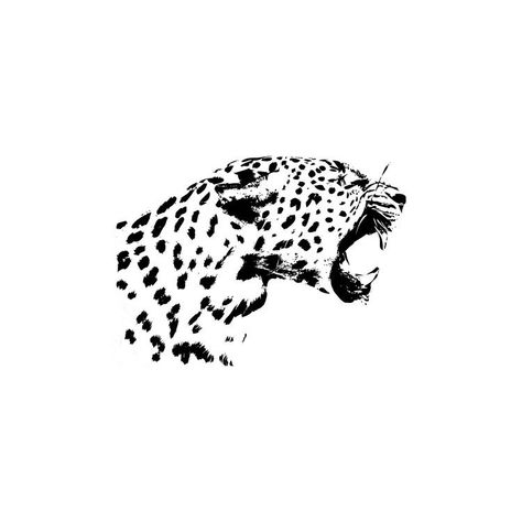 Big Cat Tattoo, Jaguar Tattoo, Leopard Tattoos, Tattoo Stencil, Arte Inspo, Photoshop Backgrounds, Big Cat, Png Vector, Tattoo Design Drawings