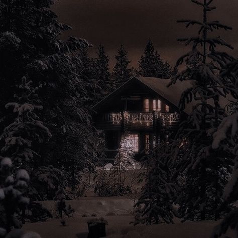 House In The Woods Aesthetic Dark, Thick Forest Aesthetic, The Perfect Marriage Book Aesthetic, The Hunting Party Book, Dark Cabin Aesthetic, Cabin In The Woods Aesthetic Dark, Clockwork Aesthetic, Cabin In The Woods Aesthetic, Park Ranger Aesthetic