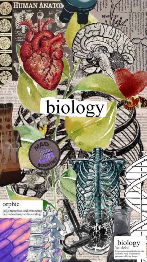 Biology Major, Job Inspiration, School Book Covers, Medical Wallpaper, Biology Art, Cute Laptop Wallpaper, Calligraphy Art Print, Human Anatomy And Physiology, Science Themes