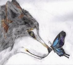 Wolf Warriors, Butterfly Sketch, Arte Peculiar, Meaningful Pictures, Family Painting, Butterfly Drawing, Wolf Tattoos, Wolf Art, Creative Drawing