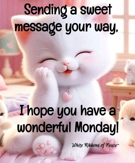 Wonderful Monday, Monday Pictures, Monday Images, Feel Better Quotes, Quotes Morning, Monday (quotes), Monday Monday, Beautiful Cats Pictures, Have A Great Monday