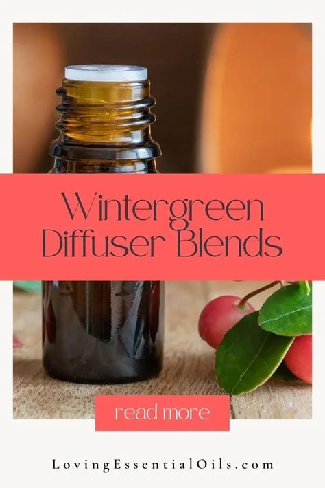 Wintergreen Essential Oil Diffuser Blends by Loving Essential Oils Essential Oil Diffuser Benefits, Massage Oil Blends, Wintergreen Essential Oil, Cypress Essential Oil, Essential Oil Diffuser Recipes, Oil Diffuser Recipes, Essential Oil Benefits, Diffuser Recipes, Homemade Cleaning Products