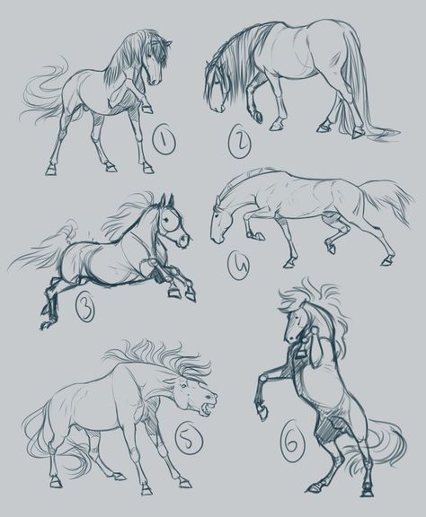 Horse Drawing Tutorial, Horse Art Ideas, Horse Art Drawing, Horse Sketch, Horse Anatomy, Horse Inspiration, Animal Drawings Sketches, Draw Animals, Horse Drawing