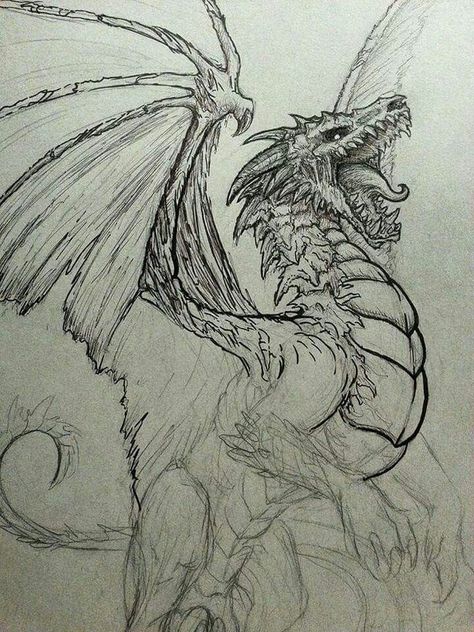 Cool Dragon Drawings, Easy Dragon Drawings, Dragon Sketch, Cool Dragons, Fantasy Drawings, 다크 판타지, Creature Drawings, Dragon Pictures, Fantasy Creatures Art