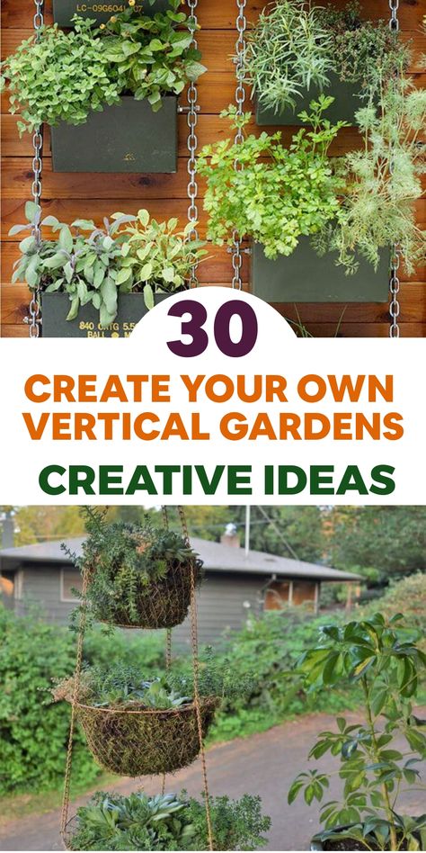 Enhance your gardening skills with creative DIY design concepts for crafting magnificent vertical gardens! Whether you're dealing with space constraints or aiming to infuse a distinctive charm into your outdoor sanctuary, vertical gardens offer an ideal remedy. Our imaginative suggestions span from converting old pallets into verdant plant partitions to repurposing hanging shoe organizers as herb havens. These innovative DIY plans will spark your imagination to view gardening in a new light. Vertical Gardening Ideas, Vertical Container Gardening, Diy Design Ideas, Plant Walls, Diy Bird Cage, Diy Dog Crate, Tiered Planter, Diy Outdoor Lighting, Vertical Garden Indoor