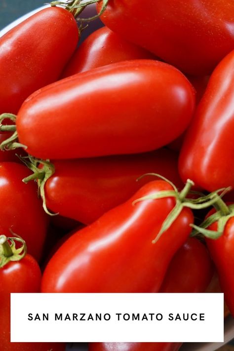 san marzano tomatoes Best Italian Tomato Sauce Recipe, San Marzano Tomatoes Recipes, San Marzano Tomato Sauce Recipes, Make Tomato Sauce, How To Make Tomato Sauce, Cabbage Steaks Recipe, San Marzano Tomato Sauce, Tomato Pizza Sauce, Fresh Tomato Pasta