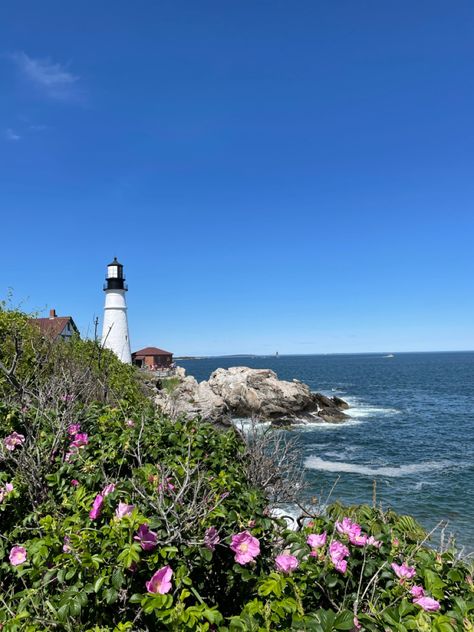 portland head, maine, east coast, flowers, lighthouse, ocean, shoreline Maine Lighthouses, Summer 24, Cute Backgrounds, Nantucket, Rhode Island, Cape Cod, New Hampshire, East Coast, Vermont