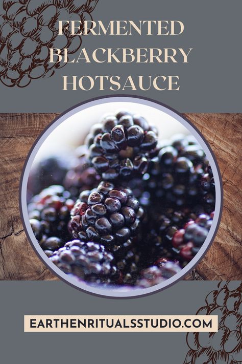 Looking to add some sizzle to your culinary creations? Try this unique and flavorful recipe for Fermented Blackberry Hot Sauce. Bursting with the bold flavors of blackberries, apples, and an assortment of chilis, this homemade hot sauce is a game-changer. #hotsauce #blackberries #pinterestrecipes #fermentation Blackberry Hot Sauce, Unique Hot Sauce Recipes, Blackberry Canning Recipes, Preserving Blackberries, Farm Stead, Blackberry Bbq Sauce, Fermented Hot Sauce Recipe, Fermentation Station, Fermented Hot Sauce