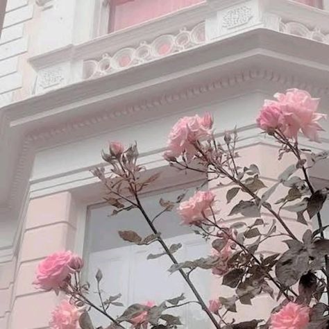 Wallpapers Rosa, Wallpers Pink, Photo Rose, Zestaw Ikon, Wallpaper Estetika, Wallpaper Flower, Have Inspiration, Pastel Pink Aesthetic, Rose Pastel