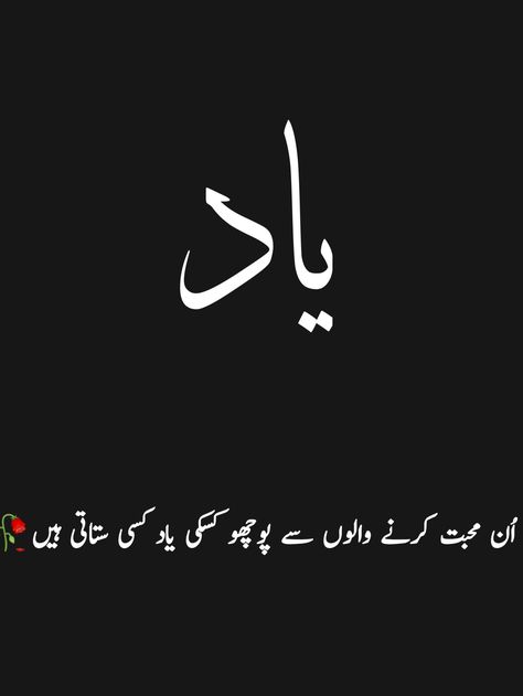 Urdu Shayari Urdu Shayri, True Lines, Urdu Shayari, Words Quotes, Poetry, Writing, Quotes, Quick Saves