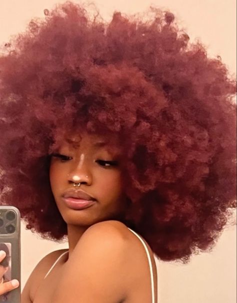 dajnaedoss Red Afro Hair, Red Wine Hair, Red Afro, Hair Content, 4b Hair, Wine Hair, Red Hair Inspo, Break The Cycle, My Roots