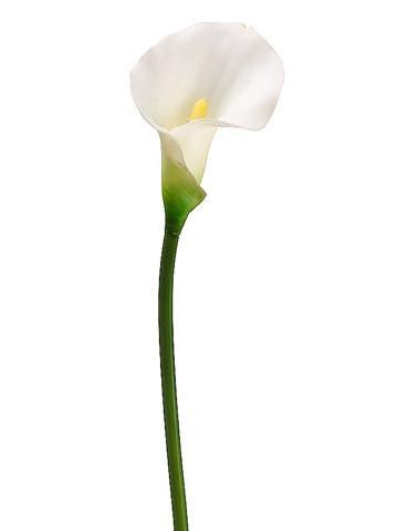 Latex Calla Lily in White - 21" Tall  Item #: SLK-FSL500-WH  /  In Stock: 17  $3.00 Lily Images, White Calla Lily, Fake Hydrangeas, Calla Lily Flowers, Calla Lily Bouquet, Gorgeous Centerpieces, Product Shoot, Silk Flowers Wedding, Diy Wedding Bouquet