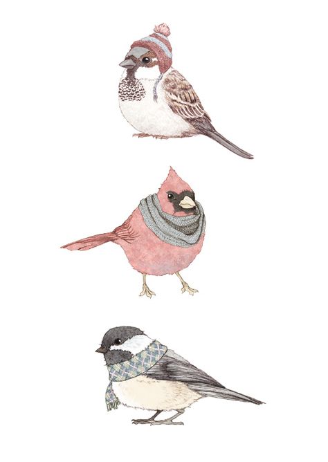 scarfs and hats for those that don't fly South in the winter Arte Indie, Winter Bird, Art And Illustration, Bird Illustration, 귀여운 동물, Cute Illustration, Animal Illustration, 그림 그리기, Bird Art